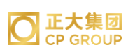 宜秀正大集团